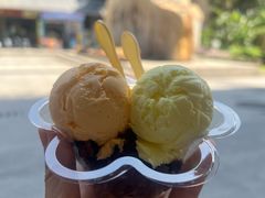 -成裕雪糕店(士多店)