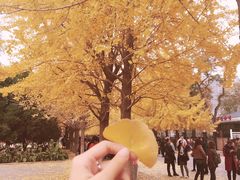 -辽宁大学(崇山校区)