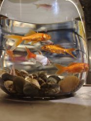 -LIIZ肖像(悦动新门西店)