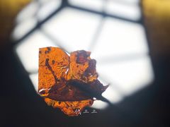 -鱼桥巷·美学川菜