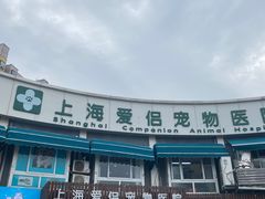 -爱侣宠医·鹦鹉专科·小型哺乳类·异宠专科(灵石路店)