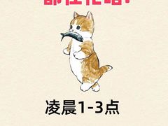-全心全意连锁动物医院(石景山店)