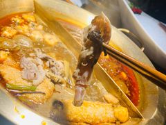 -九鼎轩脆毛肚火锅(南京东路店)