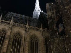 -斯蒂芬主教座堂(Stephansdom)
