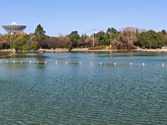 -上海佘山世茂艾美酒店