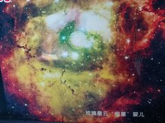 -上海昆虫博物馆