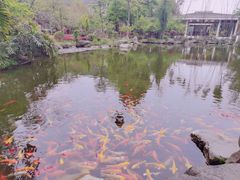 -成都川菜博物馆