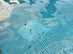 -宁波九龙湖开元度假村