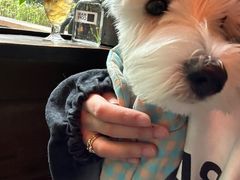 -美迦爱-牙专科·兔科·骨科诊疗中心(北苑店)