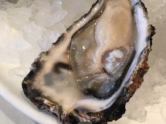 -Oyster Talks 四度蚝法餐厅