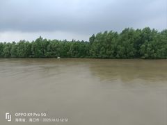 -东寨港红树林旅游区