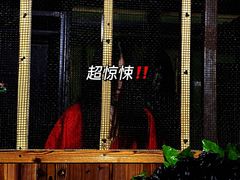 -奇门密室(五一新干线店)