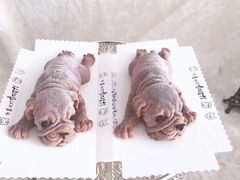 -义乌之心城市生活广场(新马路店)