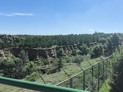 -鄂尔多斯野生动物园