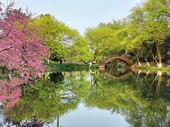 -茅家埠