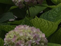 -北京石刻艺术博物馆(五塔寺)