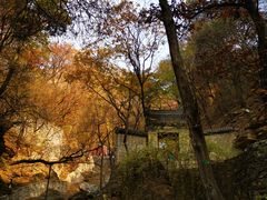-北京上方山国家森林公园