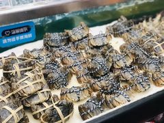 -盒马鲜生(大成店)