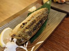 -鸟鹏烧鸟居酒屋(昌岗店)