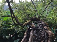 -杭州西湖风景名胜区-钱塘苏小小之墓
