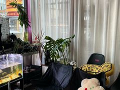 -MONANA蛋糕研究所