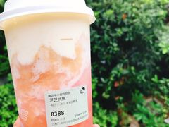 -喜茶(上海打浦桥日月光gelato lab+店)