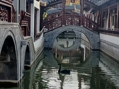 -宛园