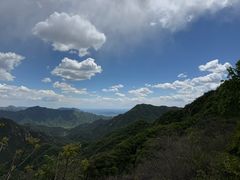 -大岭沟猕猴桃谷风景区