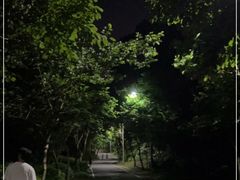 -火炉山森林公园