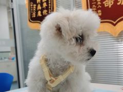-美美宠物诊疗中心·异宠·骨科(滨江东信分院)