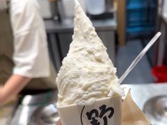 -野人先生Gelato(上海长宁龙之梦店)
