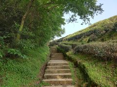 -西湖风景区十里琅珰-五云山