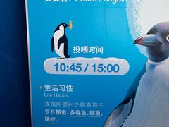-海合安天津极地海洋公园