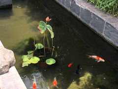 -汤宴·参须肚包鸡(南京路店)