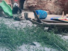 -石家庄市动物园