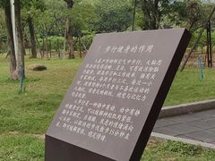 -南国桃园旅游度假区