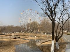 -西安浐灞国家湿地公园