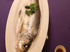 清蒸川白条-张福记(陇海中路店)