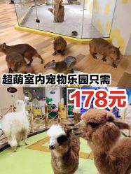 -七巧国萌宠乐园(龙湖天街店)