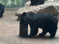 -鄂尔多斯野生动物园