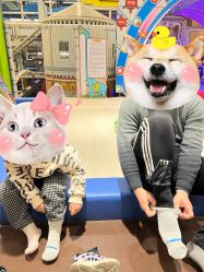 -meland亲子乐园·派对·研学(淄博万象汇店)