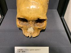 -北京周口店北京人遗址博物馆