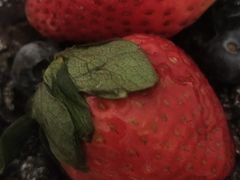 -御品轩(边家村店)