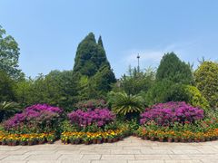 -老龙头景区