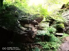 -汤旺河林海奇石景区