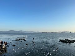 -深圳湾公园(南山区)