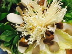 -大理老字号·舟渔的鱼野生菌海景餐厅(双廊店)