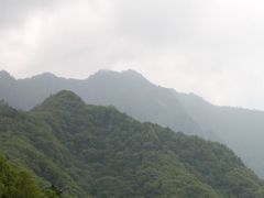 朱雀森林公园-朱雀国家森林公园