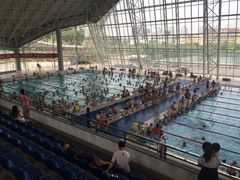 深圳大学城游泳馆-深圳大学城（南区）体育中心-游泳馆