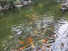 -善卷洞风景区